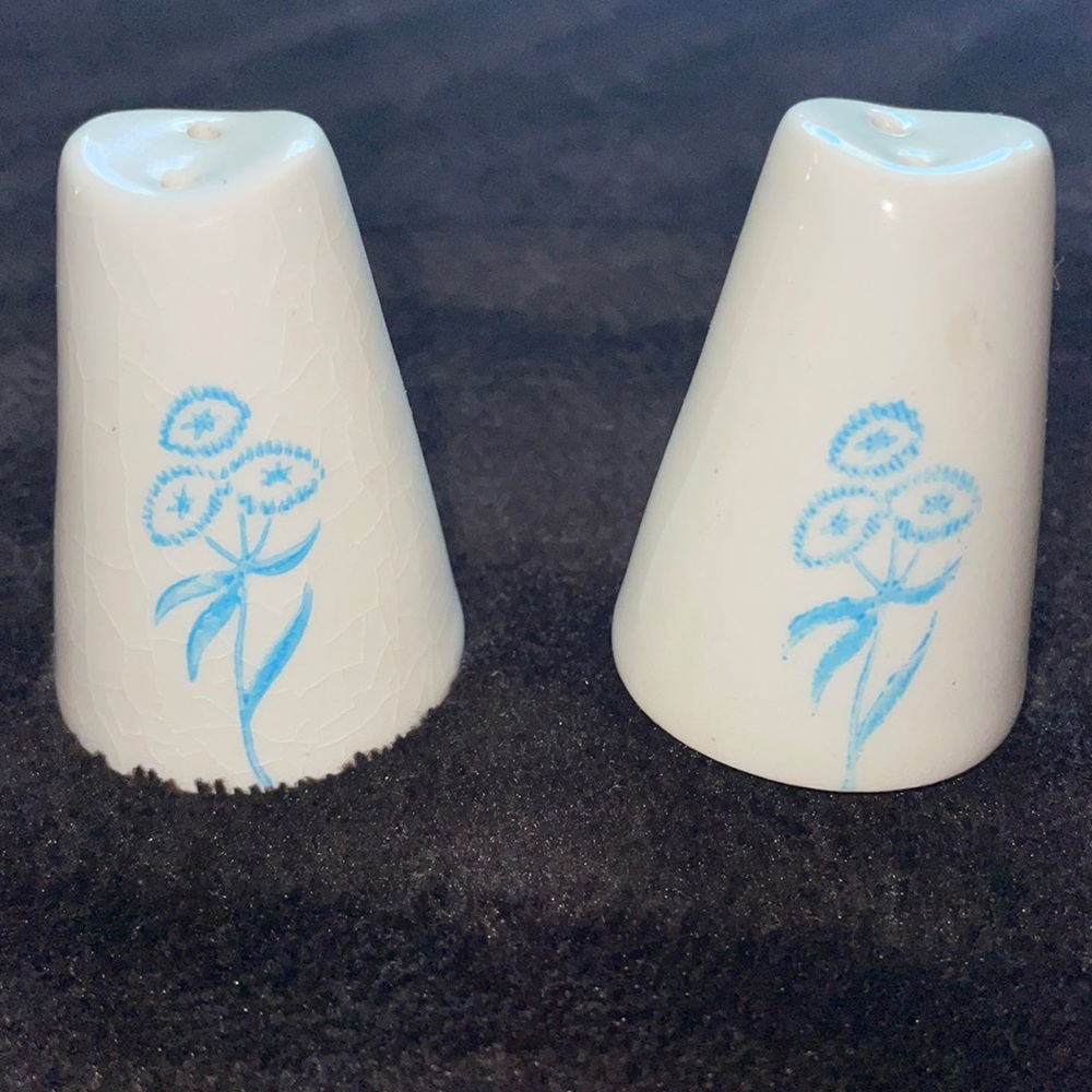 Adorable ceramic salt n pepper shaker w blue floral motif